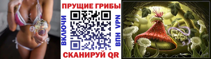 Псилоцибиновые грибы мухоморы Тайшет