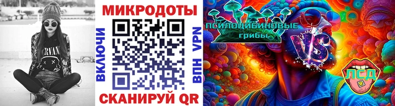купить  сайты  Тайшет  Галлюциногенные грибы Psilocybine cubensis 
